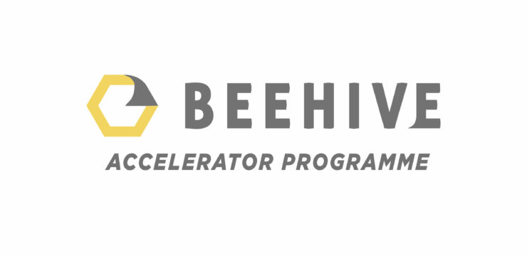 BEEHIVE STARTUP ACCELERATOR PROGRAMME 2019